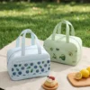 Wholesale Fresh Fruit Polyester Lunch Bag | Bulk Insulated Picnic Cooler Tote with Clear PVC Front Pocket & Double Handles (OEM/ODM)