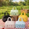 Wholesale Fresh Fruit Polyester Lunch Bag | Bulk Insulated Picnic Cooler Tote with Clear PVC Front Pocket & Double Handles (OEM/ODM)